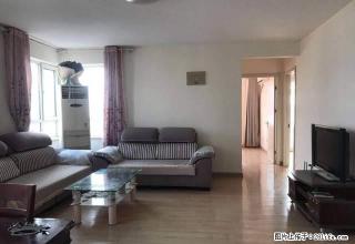 中百泰华新天地精装两室，阳光地带全明户型，有钥匙，随时看房 - 潍坊28生活网 wf.28life.com