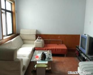 《明珠无虚假》圣荣周边 大润发近 三楼 全套家具家电 领包入 - 潍坊28生活网 wf.28life.com