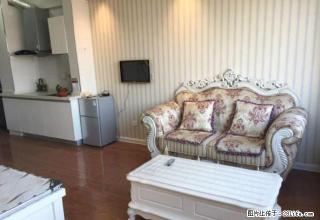 G《阳光100》豪华欧式观景公寓、全新家具家电、全屋高配、美 - 潍坊28生活网 wf.28life.com