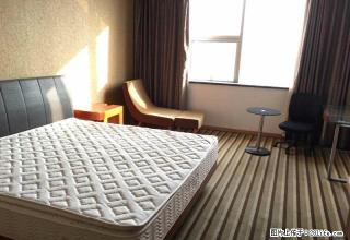 找金地 安馨家 泰华近 温馨公主房 冬暖夏凉 包物业费 - 潍坊28生活网 wf.28life.com