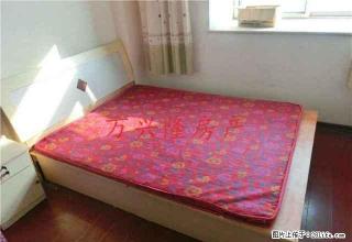 温馨好房超值急租汽车总站对面纯南向很暖和、家电齐全 - 潍坊28生活网 wf.28life.com