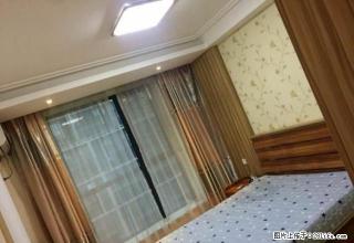 阳光100，豪装独立一室一厅，温馨舒适，家电全齐，欢迎看房 - 潍坊28生活网 wf.28life.com