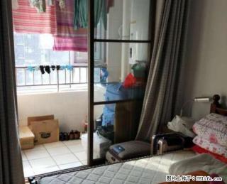 《明珠无虚假》东城新华枫景精装全套拎包入住仅租1200 - 潍坊28生活网 wf.28life.com