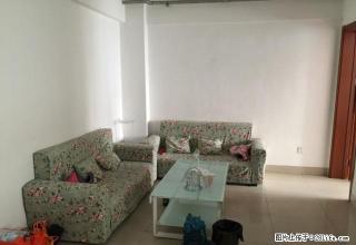 《明珠无虚假》潍坊一中近 凤凰山庄 精装两室家具齐全1400 - 潍坊28生活网 wf.28life.com