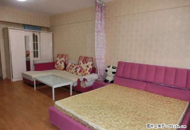 找金地 安馨家 超值公主房 家电齐全 精装美观 好房仅此一套 - 房屋出租 - 房屋租售 - 潍坊分类信息 - 潍坊28生活网 wf.28life.com