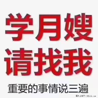 【招聘】月嫂，上海徐汇区 - 潍坊28生活网 wf.28life.com