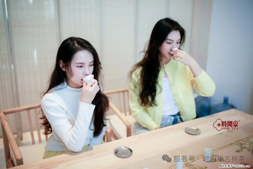 时间果百年古树龙珠普洱生茶 - 购物交流 - 潍坊生活社区 - 潍坊28生活网 wf.28life.com