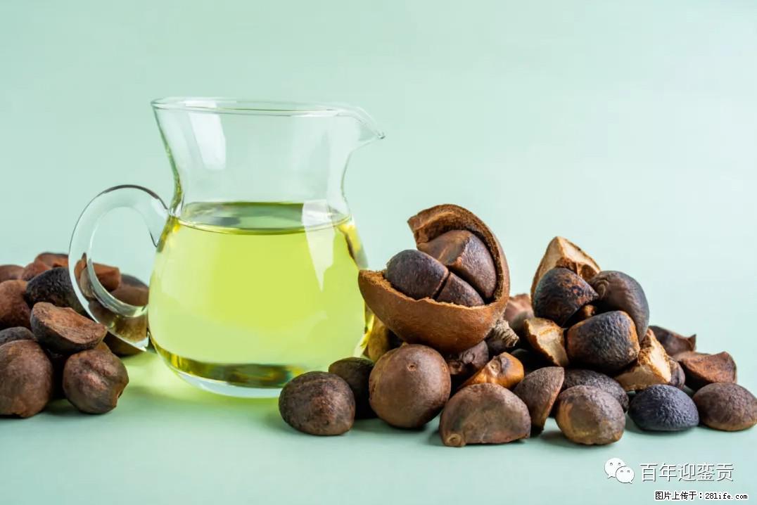 世界没有真相，只有认知，最好的食用油是中国的山茶油！ - 潍坊生活资讯 - 潍坊28生活网 wf.28life.com