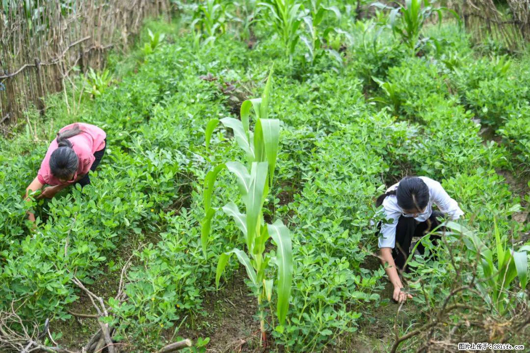 全网追的“扁担女孩”，找了一份暑假工，时薪12元 - 潍坊生活资讯 - 潍坊28生活网 wf.28life.com
