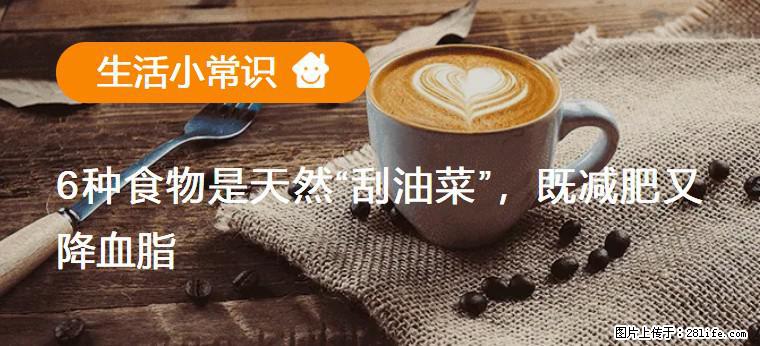 【生活小常识】6种食物是天然“刮油菜”，既减肥又降血脂 - 潍坊生活资讯 - 潍坊28生活网 wf.28life.com