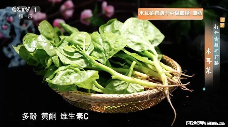 比牛奶补钙还厉害!凉血解毒、稳血糖...这菜冬天必吃,很多人却当草 - 潍坊生活资讯 - 潍坊28生活网 wf.28life.com