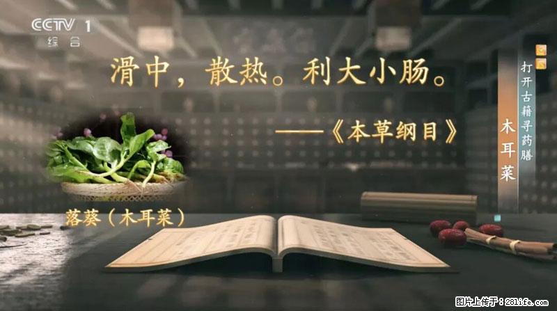 比牛奶补钙还厉害!凉血解毒、稳血糖...这菜冬天必吃,很多人却当草 - 潍坊生活资讯 - 潍坊28生活网 wf.28life.com