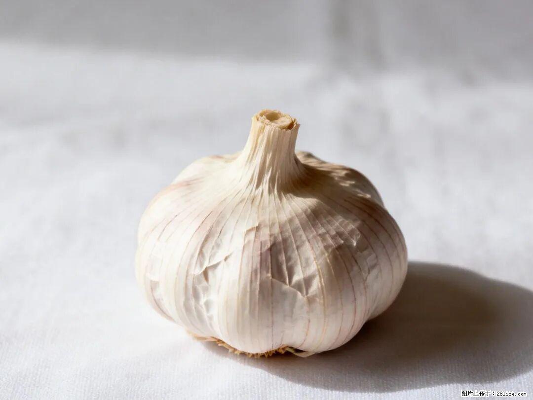 关于大蒜,除了“天然抗生素”,这4个谣言更该警惕! - 潍坊生活资讯 - 潍坊28生活网 wf.28life.com