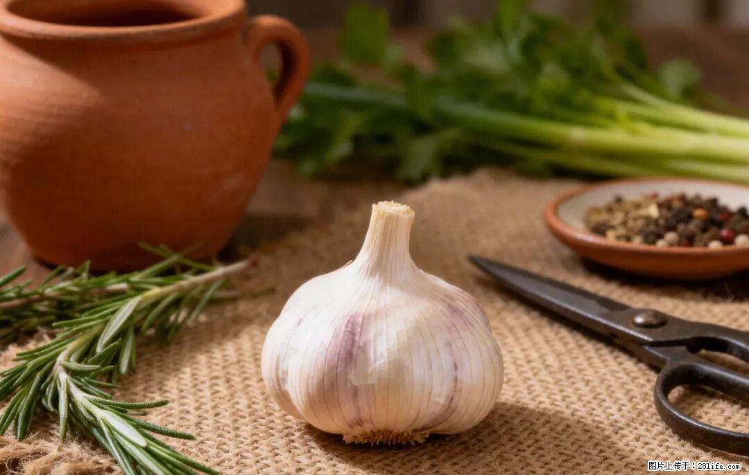 关于大蒜,除了“天然抗生素”,这4个谣言更该警惕! - 潍坊生活资讯 - 潍坊28生活网 wf.28life.com