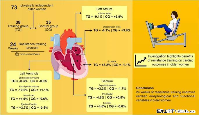 坚持这种运动6个月,心脏有了显著变化!不是跑步,也不是走路 - 潍坊生活资讯 - 潍坊28生活网 wf.28life.com