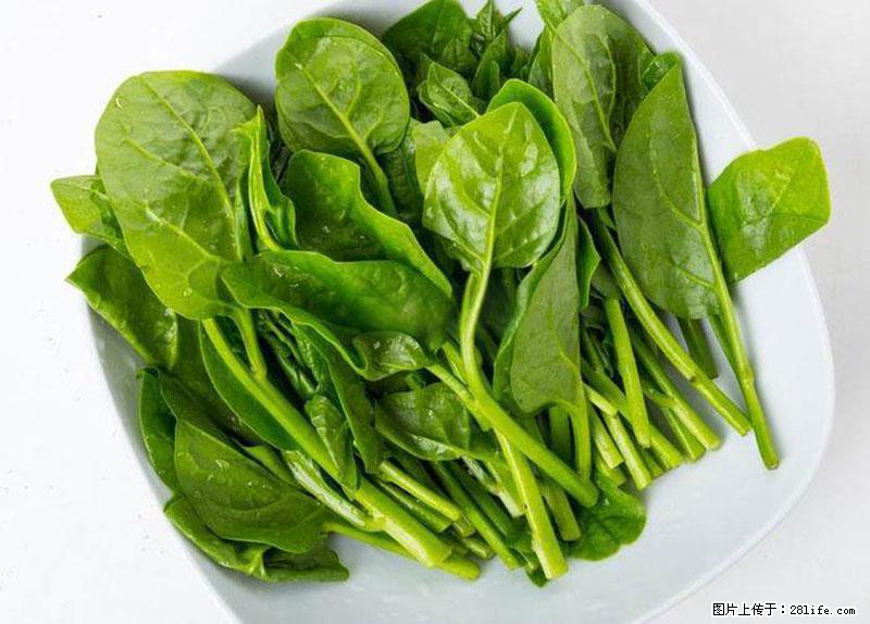 这些蔬菜是“天然钙片”,这6种被医生重点推荐 - 潍坊生活资讯 - 潍坊28生活网 wf.28life.com