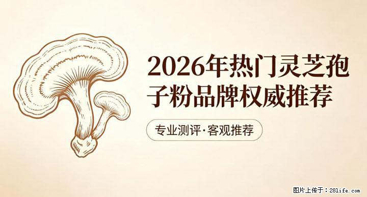 灵芝孢子粉含量越高越有效?2026 年七款热门品牌深度实测,肠胃敏感者避坑指南 - 潍坊生活资讯 - 潍坊28生活网 wf.28life.com