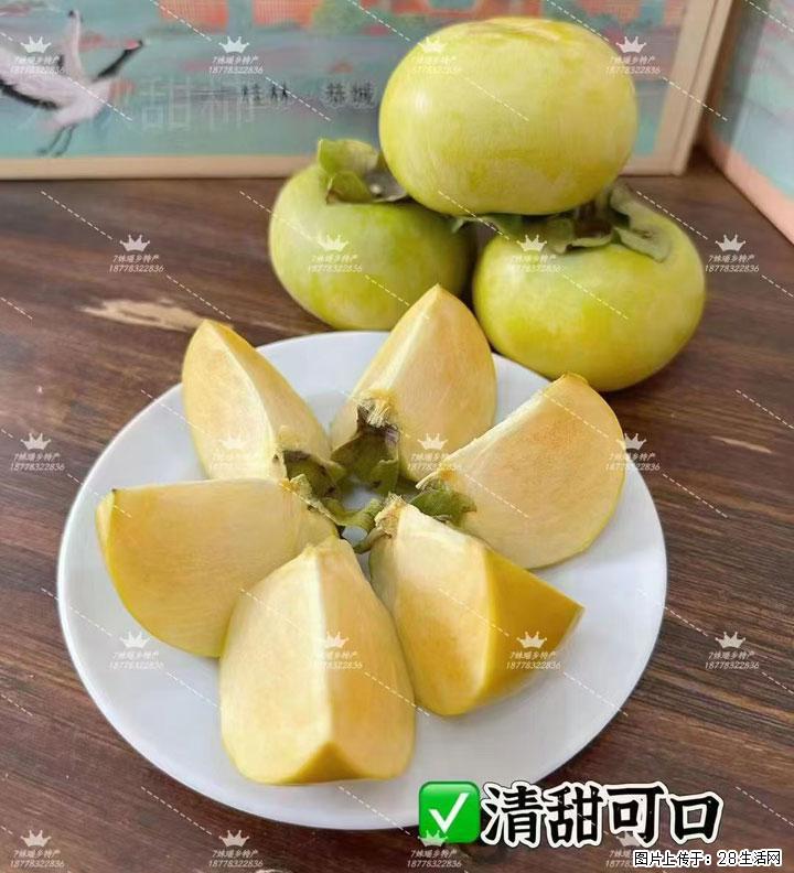 广西桂林平乐桥亭【红心猕猴桃】、【大秋甜柿】上市啦，欢迎各位新老客户下单（另有少量小果出售） - 潍坊生活资讯 - 潍坊28生活网 wf.28life.com